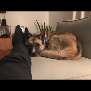 Meet your Posher, Jake